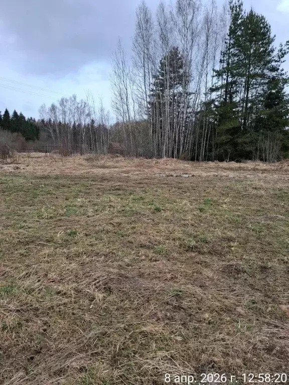 Участок в Московская область, Можайский муниципальный округ, пос. ... - Фото 1