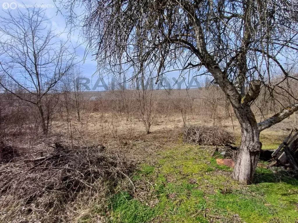 Участок в станица Курджипская, улица Костикова, 12 (36 м) - Фото 0