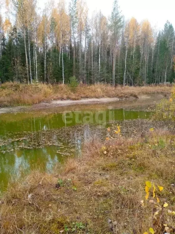 Участок в Коми, Корткеросский район, Додзь муниципальное образование, ... - Фото 1