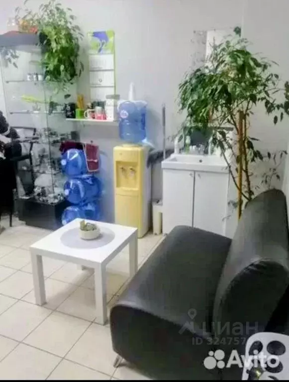 Офис в Новосибирская область, Новосибирск Приморская ул., 9/1 (20 м) - Фото 2