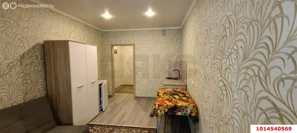 Квартира-студия: Краснодар, улица Григория Пономаренко, 45 (23.5 м) - Фото 1