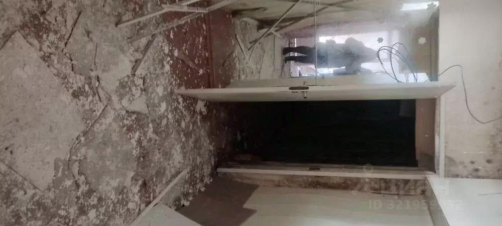 Помещение свободного назначения в Архангельская область, Архангельск ... - Фото 1