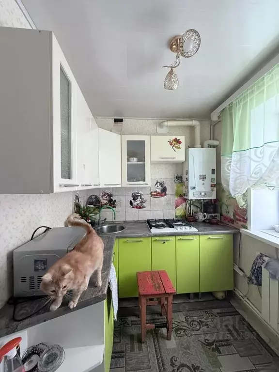 3-к кв. Рязанская область, Касимовский муниципальный округ, пос. ... - Фото 2