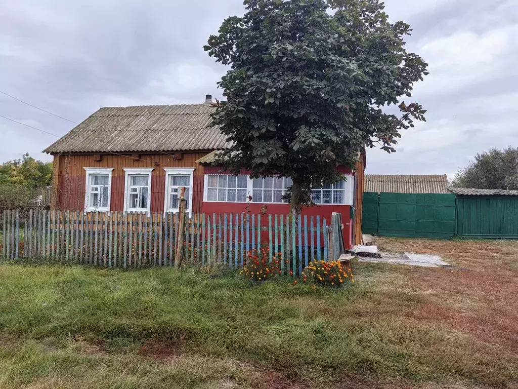 Дом в Воронежская область, Аннинский район, Николаевское с/пос, с. ... - Фото 2