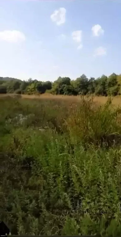 Участок в Краснодарский край, Сочи городской округ, с. Беранда ул. ... - Фото 2