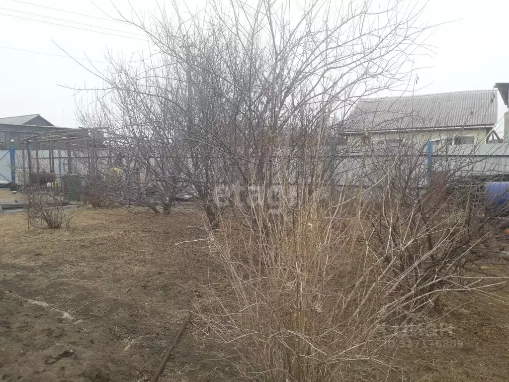 Участок в Амурская область, Свободный Продольная ул. (30.6 сот.) - Фото 2