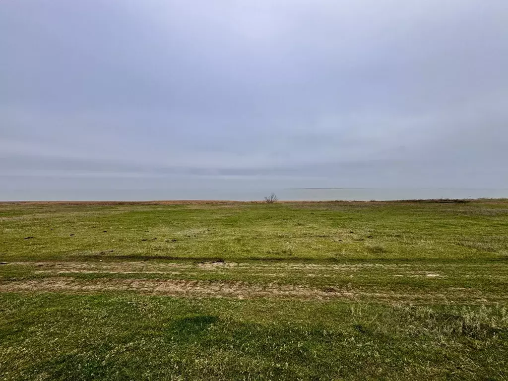 Участок в Ростовская область, Неклиновский район, Лакедемоновское ... - Фото 2