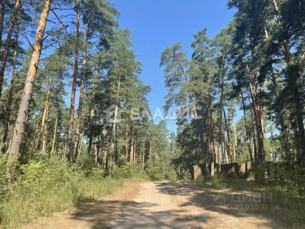 Участок в Владимирская область, Судогодский район, Лавровское ... - Фото 1