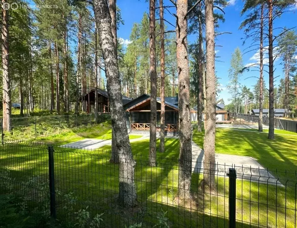 Участок в Куйвозовское сельское поселение, КП Белкино (600 м) - Фото 0