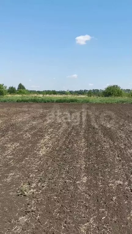 Участок 6,6 га (ИЖС) - Фото 0