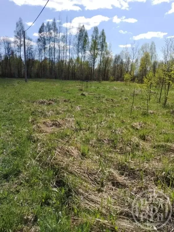 Участок в Ленинградская область, Лужский район, Скребловское с/пос, д. ... - Фото 2