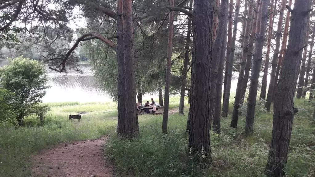 Дом в Московская область, Можайский муниципальный округ, Летнее СНТ  ... - Фото 2