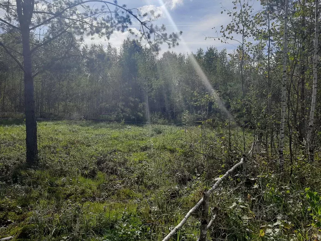 Участок в Московская область, Павлово-Посадский городской округ, д. ... - Фото 2