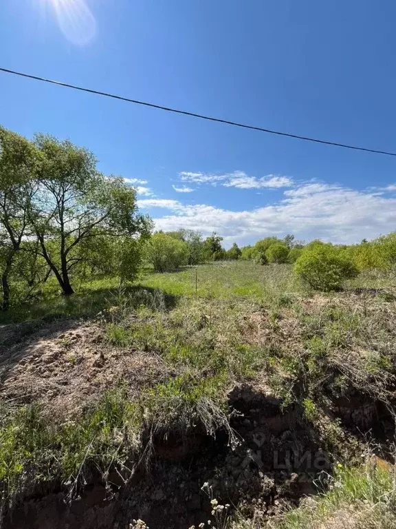 Участок в Хабаровский край, Хабаровск Дачная ул. (16.0 сот.) - Фото 2