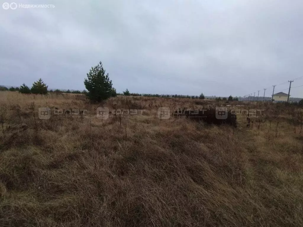 Участок в Лебяжье, Крымская улица (11 м) - Фото 1