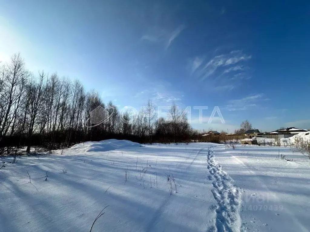 Участок в Тюменская область, Тюменский район, д. Пышминка Молодежная ... - Фото 1