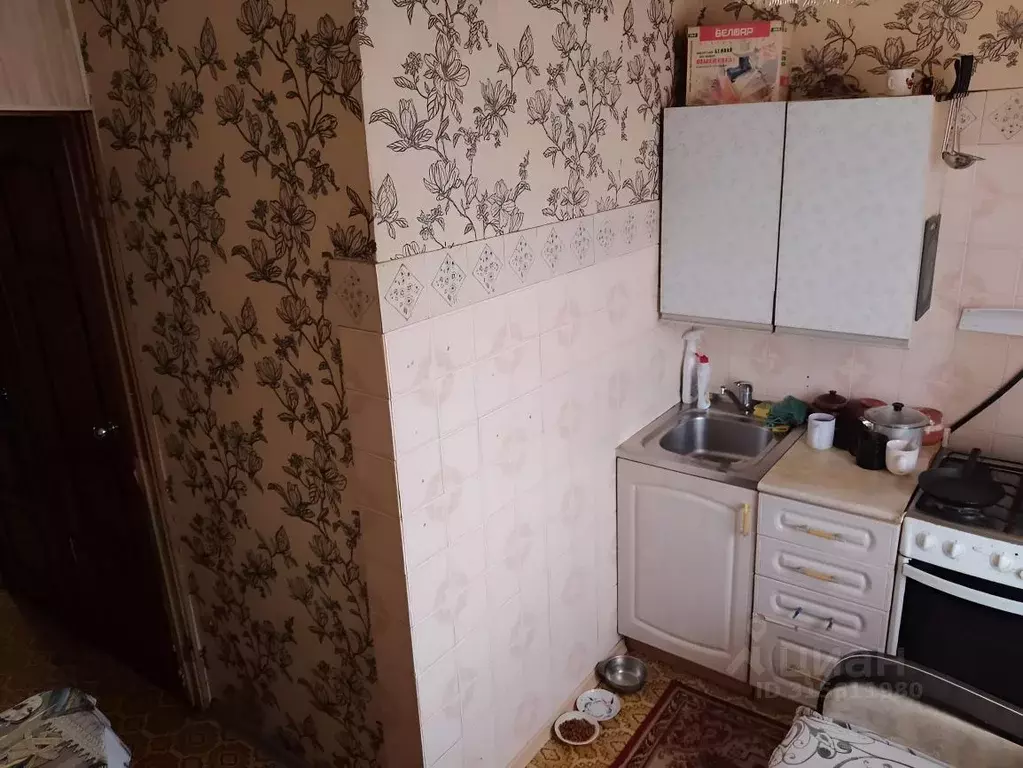 1-к кв. Ивановская область, Ивановский район, с. Ново-Талицы ул. ... - Фото 1
