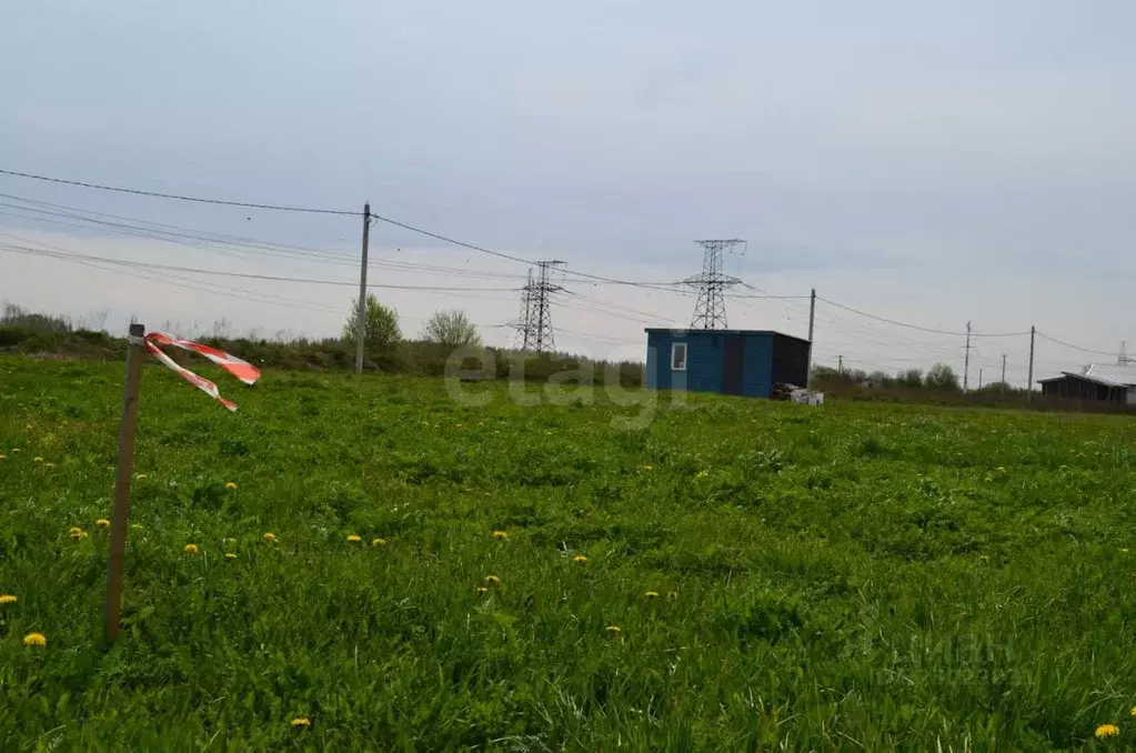 Участок в Ленинградская область, Ломоносовский район, Виллозское ... - Фото 1