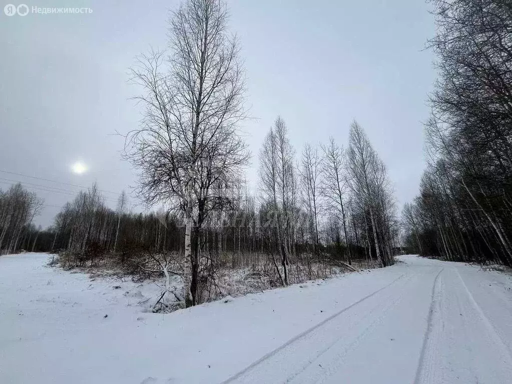 Участок в Тюменский район, село Каскара (11.7 м) - Фото 1