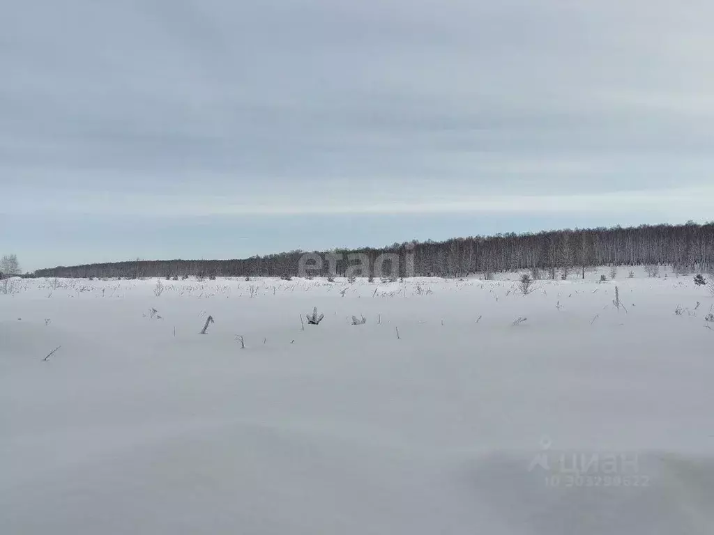 Участок в Челябинская область, Каслинский район, Тюбукское с/пос, пос. ... - Фото 1