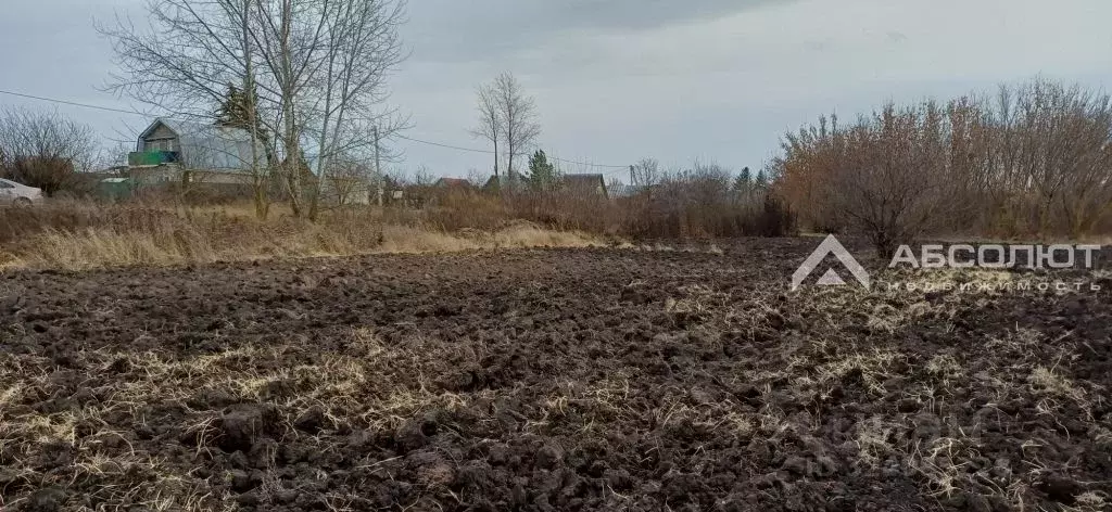 Участок в Пензенская область, Бессоновский район, Волна СНТ  (6.0 ... - Фото 2