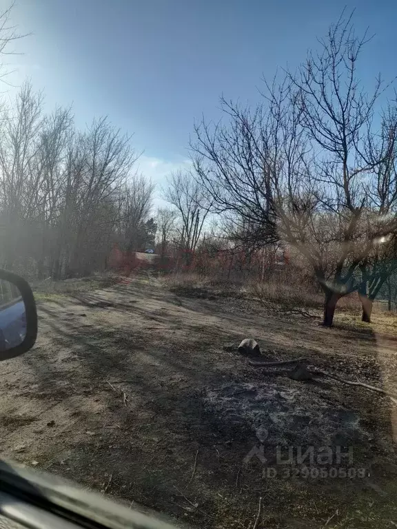 Участок в Ростовская область, Октябрьский район, Бессергеневское ... - Фото 2