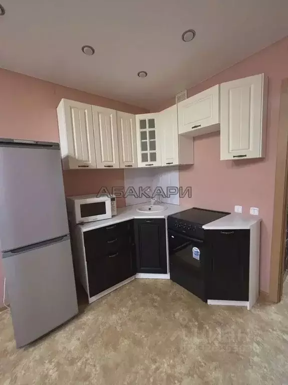 Студия Красноярский край, Красноярск наб. Ярыгинская, 9 (27.0 м) - Фото 2