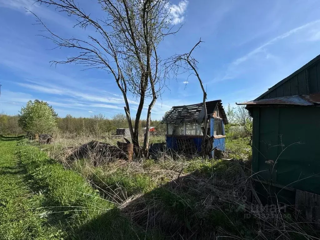 Участок в Вологодская область, д. Фофанцево  (6.0 сот.) - Фото 1