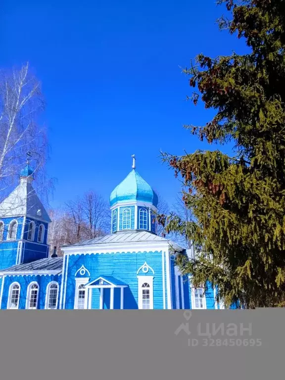 Участок в Нижегородская область, Нижний Новгород с. Новые Ключищи, ул. ... - Фото 2