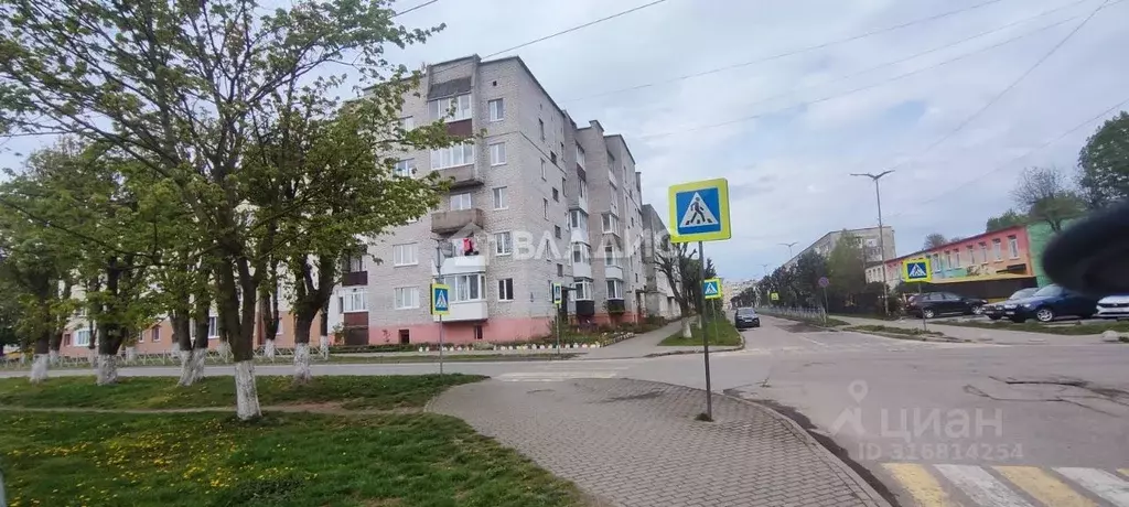 3-к кв. Калининградская область, Светлый ул. Тельмана, 8 (56.0 м) - Фото 1