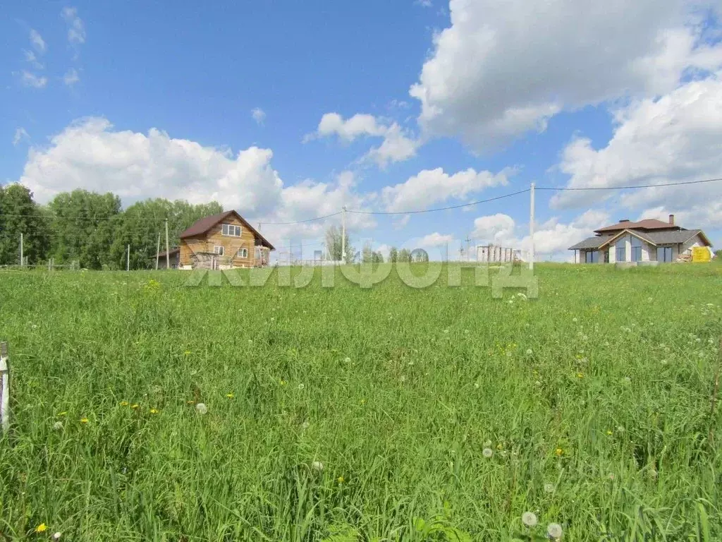 Участок в Новосибирская область, Новосибирский район, Раздольненский ... - Фото 0