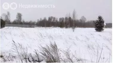 Участок в село Курлек, Сплавная улица (20 м) - Фото 1