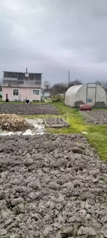 Участок в Хабаровский край, Комсомольск-на-Амуре Строитель СНТ, ул. ... - Фото 0