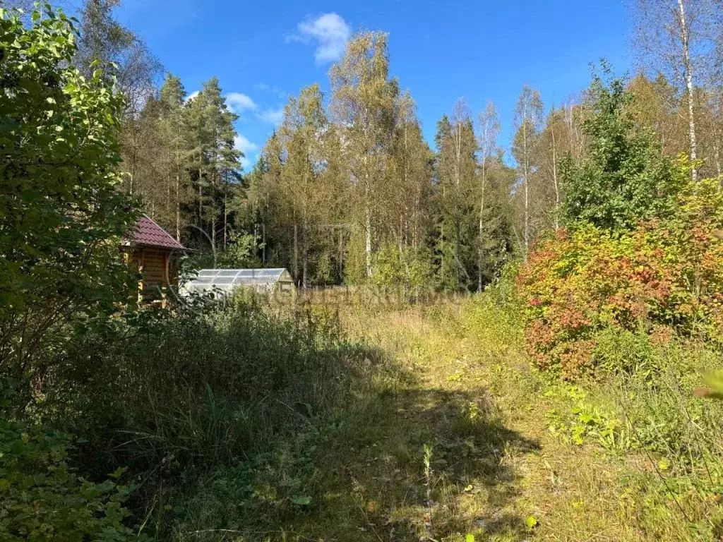 Участок в Ленинградская область, Выборгский район, Рощинское городское ... - Фото 1