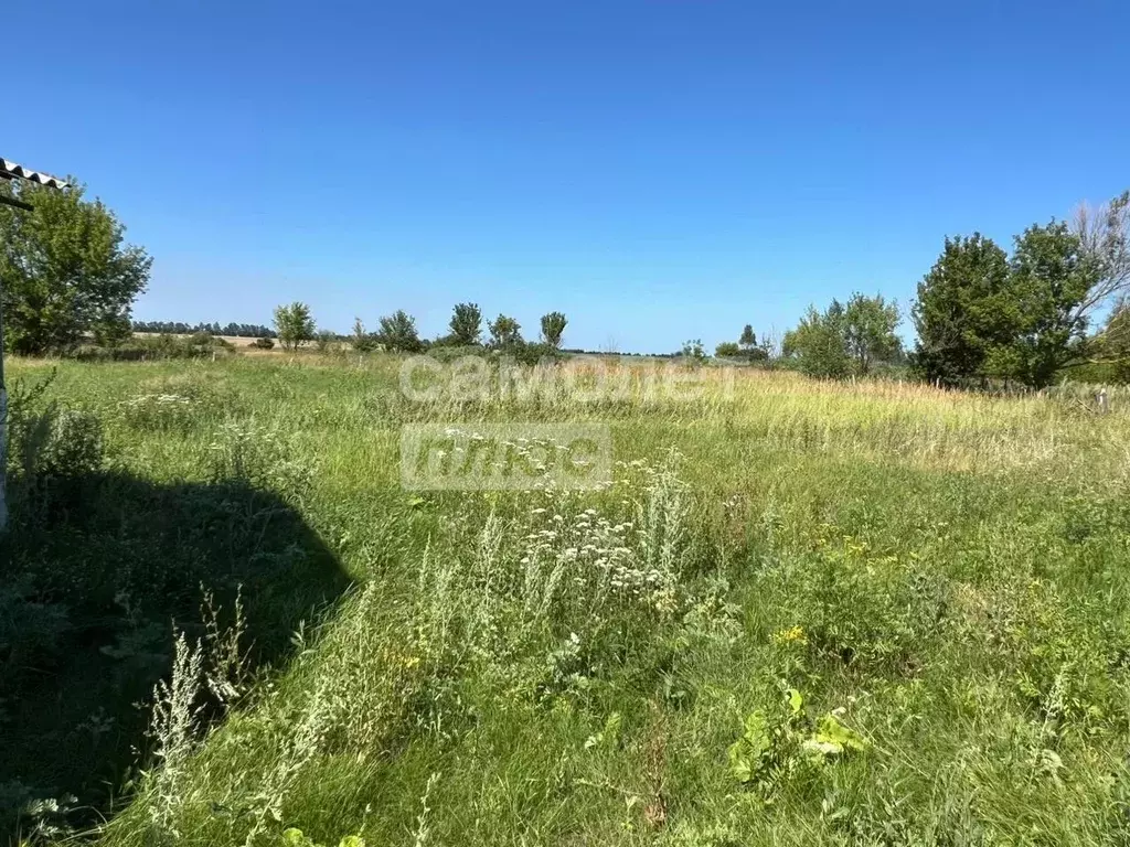 Участок в Липецкая область, Грязинский район, Сошкинский сельсовет, с. ... - Фото 0