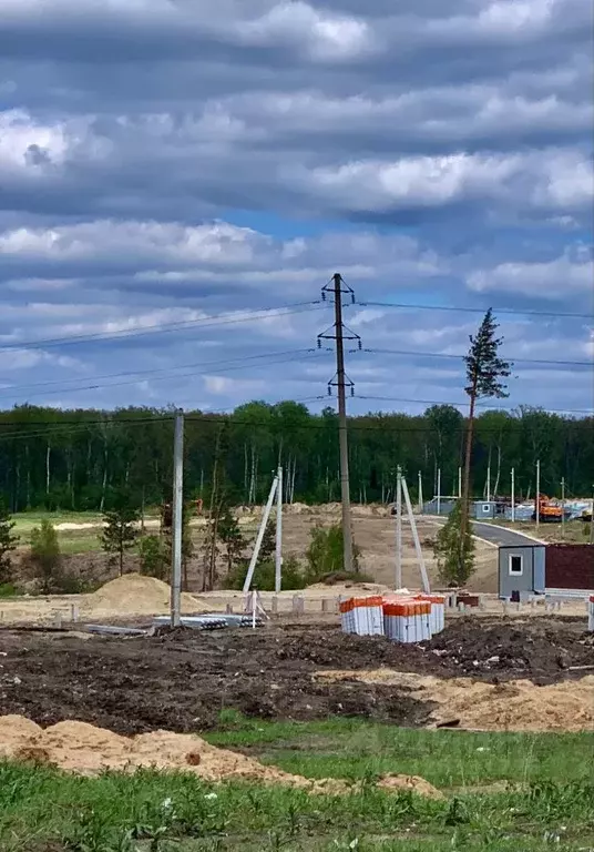 Участок в Воронежская область, Рамонский район, с. Ямное ул. Летний ... - Фото 1