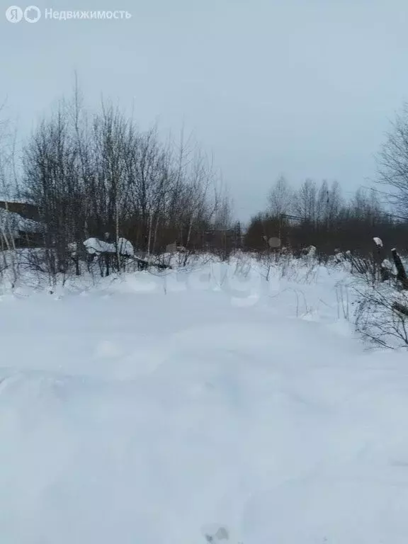 Участок в Кушва, Весенняя улица (9.23 м) - Фото 2