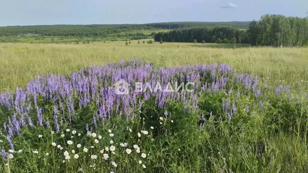 Участок в Нижегородская область, Сосновский муниципальный округ, д. ... - Фото 2