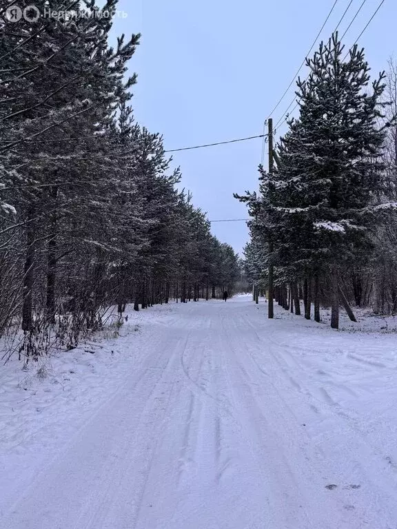 Участок в Архангельская область, Приморский муниципальный округ, ... - Фото 1