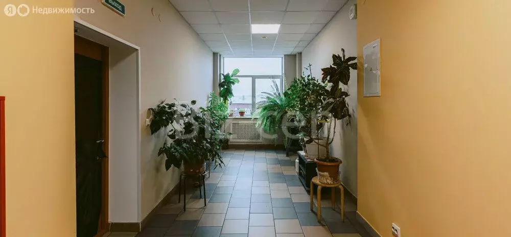 Офис (35.1 м) - Фото 1