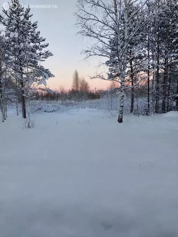 Участок в Лопухинское сельское поселение, коттеджный посёлок Солнечное ... - Фото 1