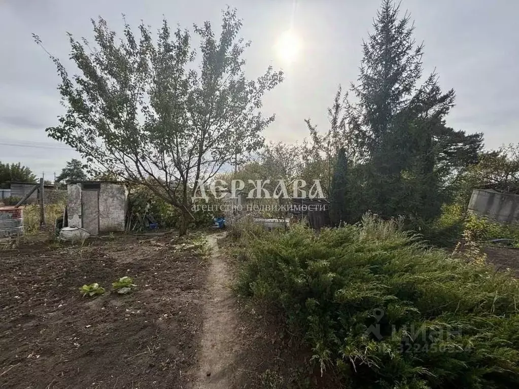 Дом в Белгородская область, Старый Оскол Сосновый Бор СНТ, ул. Дачная ... - Фото 1