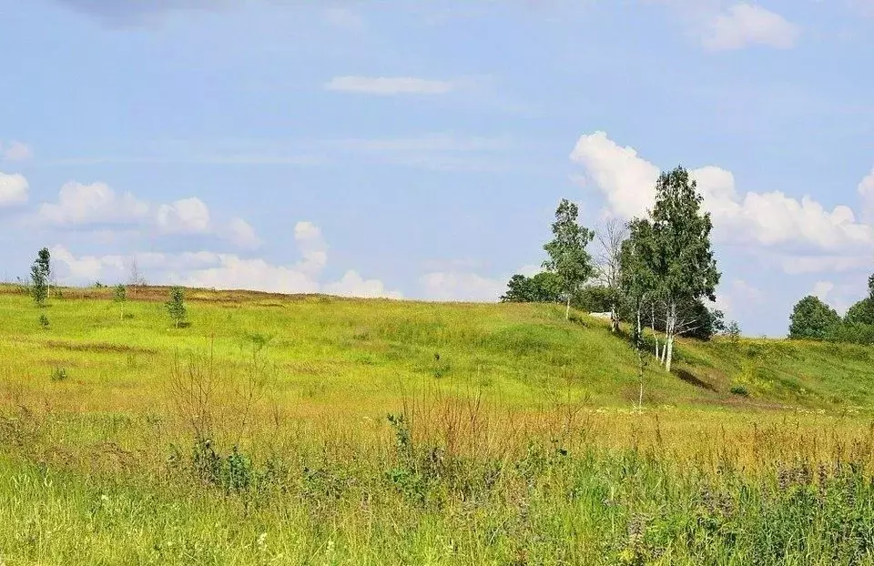 Участок в Московская область, Клин городской округ, д. Кореньки  ... - Фото 0