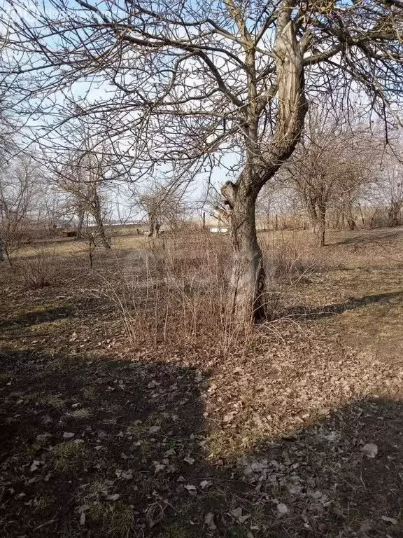 Дом в Копцевы Хутора, Советская улица (48.7 м) - Фото 1