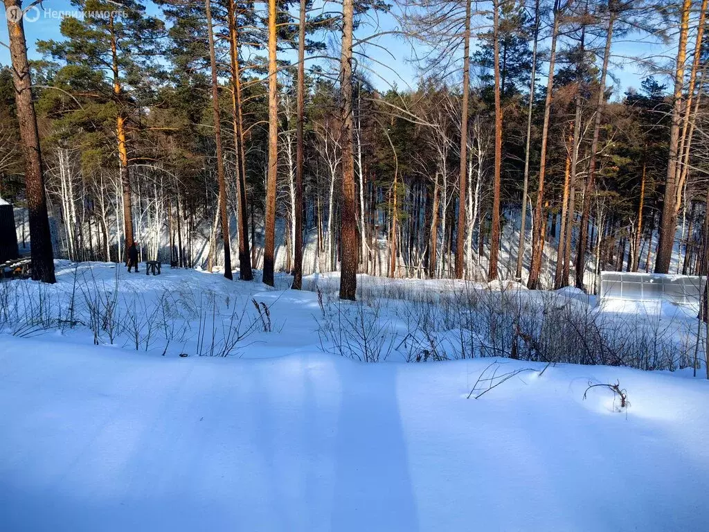 Участок в Иркутский муниципальный округ, деревня Новолисиха, посёлок ... - Фото 2
