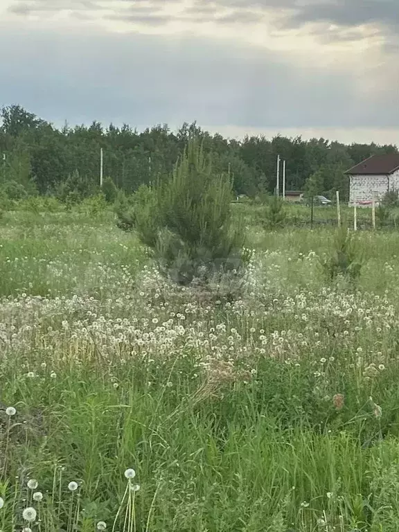 Участок 16,5 сот. (ИЖС) - Фото 0