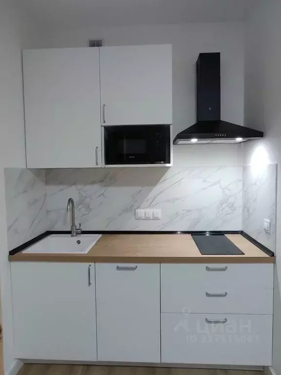 Студия Санкт-Петербург просп. Крузенштерна, 4 (22.2 м) - Фото 2