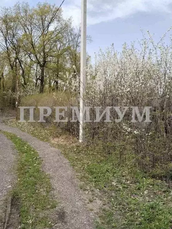 Участок 5 сот. (СНТ, ДНП) - Фото 1