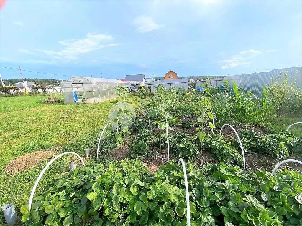 Дом в Пермский край, Пермский муниципальный округ, Дачный Просторы ... - Фото 2