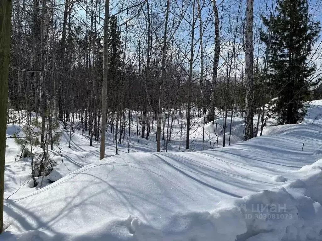 Участок в Бурятия, Баргузинский район, с. Максимиха  (8.0 сот.) - Фото 0